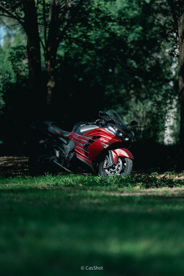 A red motorcycle framed by dark trees and soft green foreground